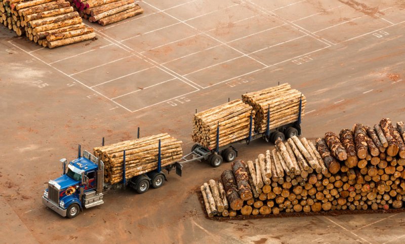俄罗斯1-7月木材及木制品出口额下跌